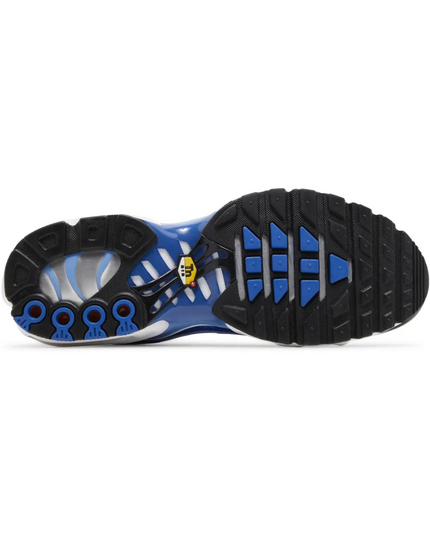 Air Max TN Plus "Light Photography Old Royal"