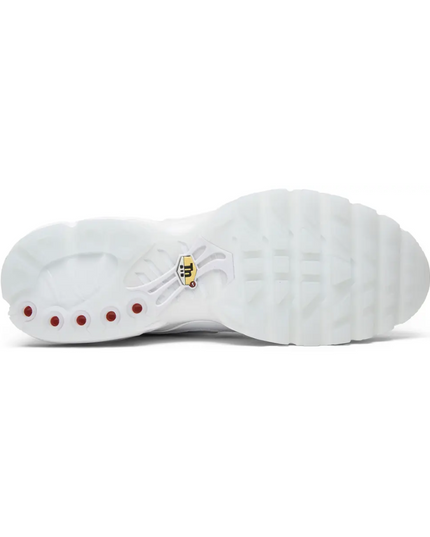 Air Max TN Plus "International Flag"