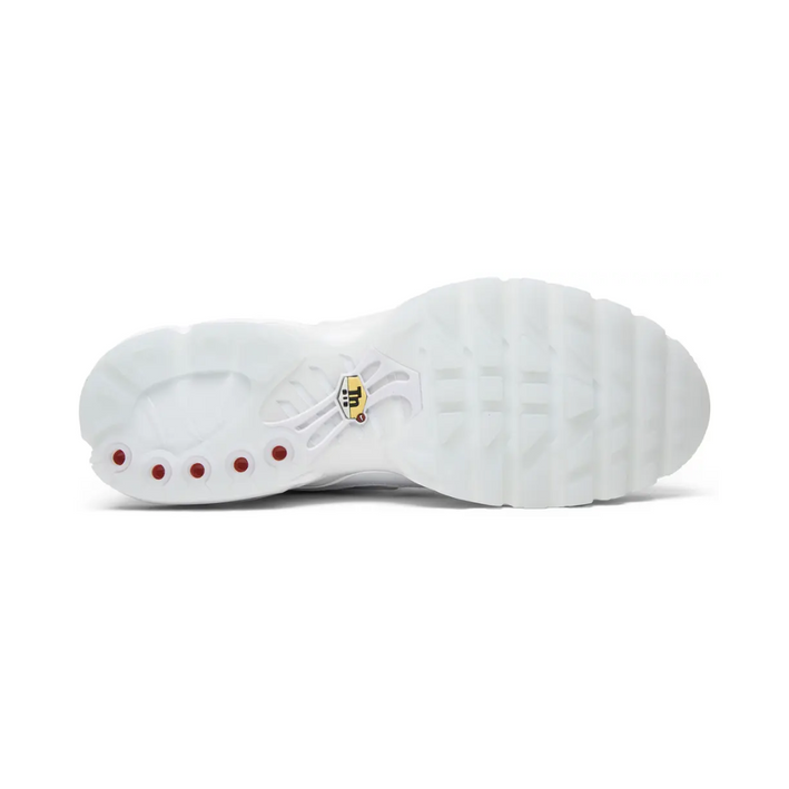Air Max TN Plus "International Flag"