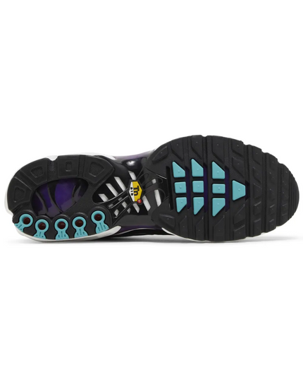 Air Max TN Plus "Reverse Grape"