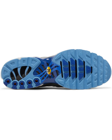 Air Max TN Plus "Black Royal Blue"