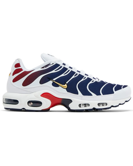 Paris Saint Germain (PSG) x Air Max TN Plus "Home Kit"