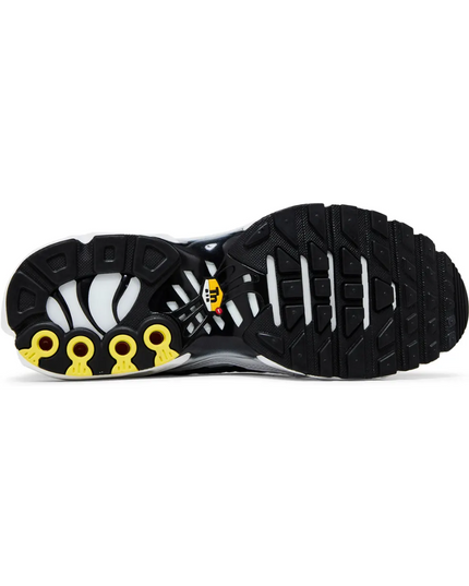 Air Max TN Plus "Killer Whale"