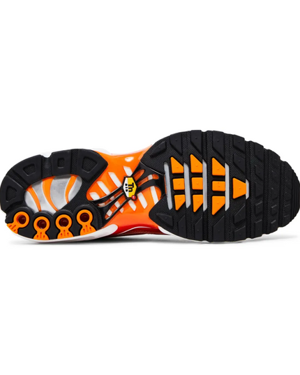 Air Max TN Plus "Light Photography Sport Red"