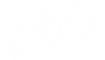 Not Sample ®