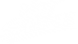 Not Sample ®
